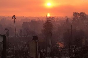 Die Verwüstung durch das Palisades-Feuer in Los Angeles. (Archivbild) - Foto: Jae C. Hong/AP/dpa