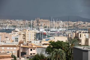 Die Prügelattacke ereignete sich in der Hauptstadt der Urlaubsinsel. (Archivfoto) - Foto: Clara Margais/dpa
