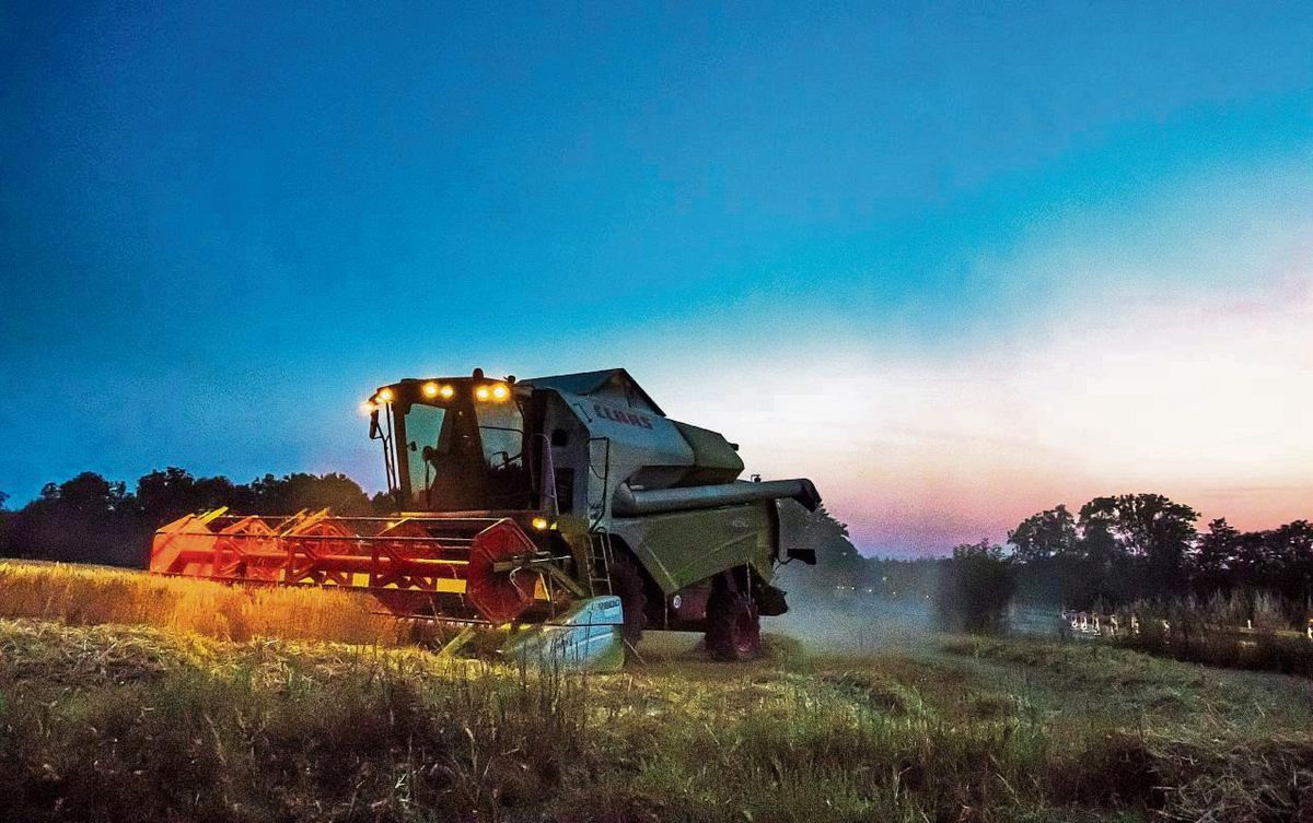 Die Ernte der Wintergerste hat im Kreis Soest begonnen. Foto: Winkelmann