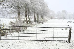Weiteren Schnee sagt der Deutsche Wetterdienst frühestens am Sonntag vorher. - Foto: Lars Penning/dpa