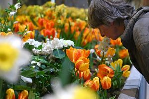 Die Besucherzahl auf der diesjährigen Woche übertraf die Erwartungen deutlich. (Archivbild) - Foto: Elisa Schu/dpa