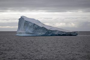 Der Klimawandel trifft die Antarktis besonders hart. (Archivbild) - Foto: Jorge Saenz/AP/dpa
