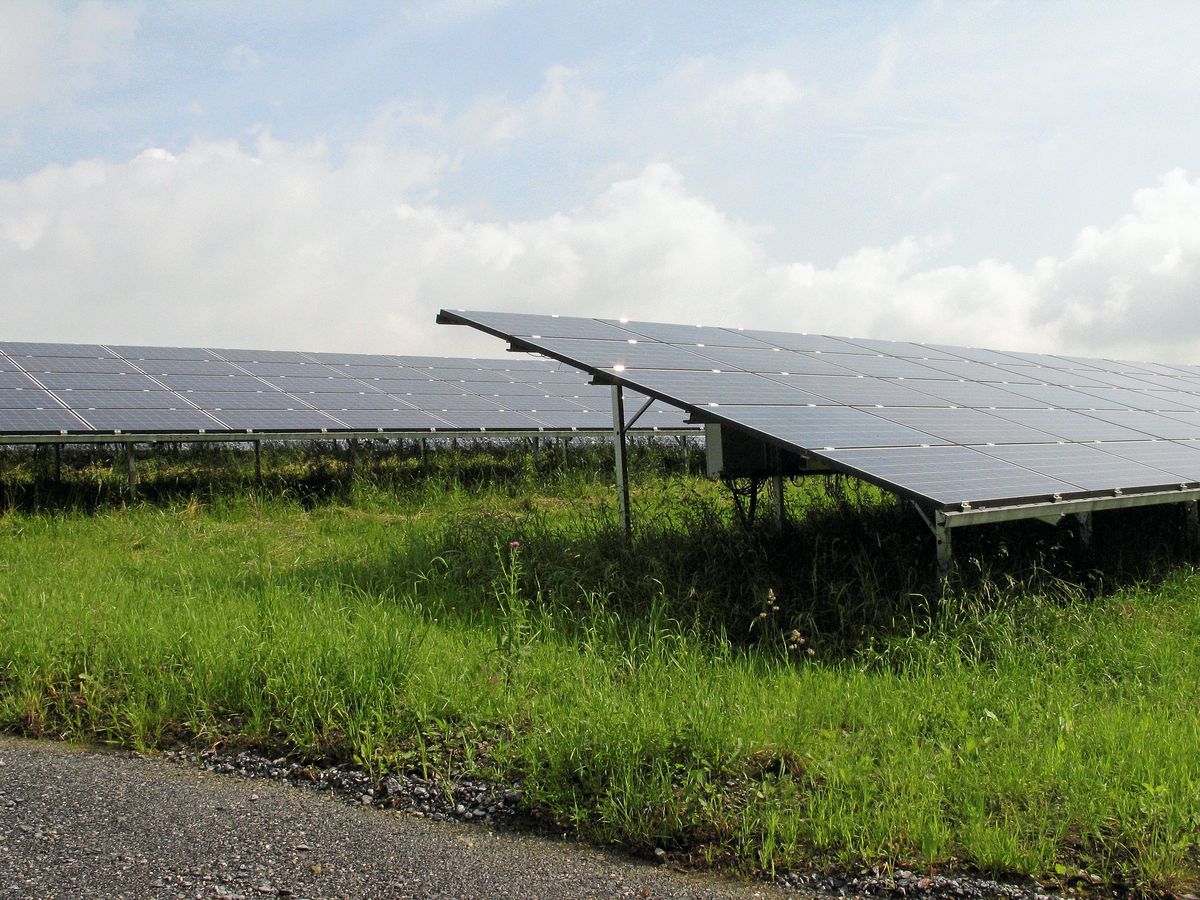 Im Norden der Gemeinde Anröchte wird eine Photovoltaikfläche aufgrund möglicher Steinabbaupläne abgelehnt.