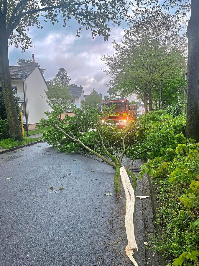 Zur Graf-Adolf-Straße wurde die Feuerwehr Lippstadt am Montagabend um 19.23 Uhr alarmiert: Dort blockierte ein abgebrochener Ast die Straße. Foto: Feuerwehr Lippstadt