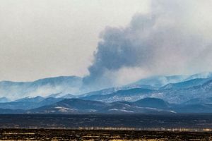Das "Madre Fire" ist das bislang größte Feuer in Kalifornien in diesem Jahr. - Foto: Amy Katz/ZUMA Press Wire/dpa