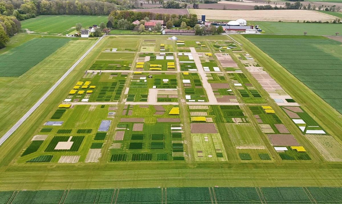 Feldversuch auf Gut Brockhof: 3500 Parzellen hat die DLG auf elf Hektar angelegt. Gut zu erkennen sind die Rapsflächen mit ihren gelben Blüten, andere Kulturen liegen geschützt unter Folie. Die gesamte Messe-Fläche beträgt 56 Hektar, das entspricht einer Größe von 80 Fußballfeldern. Foto: DLG