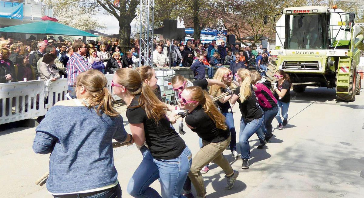 Nach über zehn Jahren Pause messen sich am 1. Mai in Drewer wieder zahlreiche Teams beim spektakulären Mähdrescher-Pulling auf dem Hof Heimann.