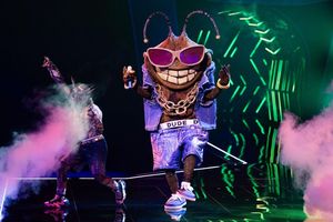 Die Stinkwanze «Dude» ist bei der ProSieben-Show «The Masked Singer» raus. (Archivbild) - Foto: Rolf Vennenbernd/dpa