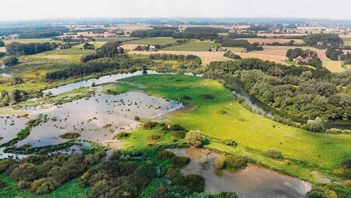 Durch Renaturierungsmaßnahmen können Gewässer extreme Wetterereignisse deutlich besser auffangen. Wie hier beim Trotzbach wird die Wassermasse in den Auen zurückgehalten. Foto: Wasserverband Obere Lippe