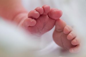 Die meisten Geburten gibt es im Schnitt am 21. September. (Symbolbild) - Foto: Arno Burgi/dpa-Zentralbild/dpa