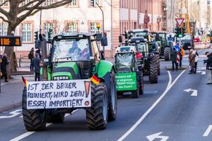 Bauern waren gegen die Streichung auf die Straße gegangen, nun wird sie zurückgenommen. (Archivbild) - Foto: Andreas Arnold/dpa