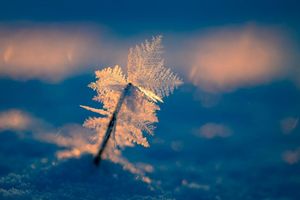 Eisige Temperaturen können für Menschen ohne Wohnung lebensgefährlich sein. - Foto: Patrick Pleul/dpa