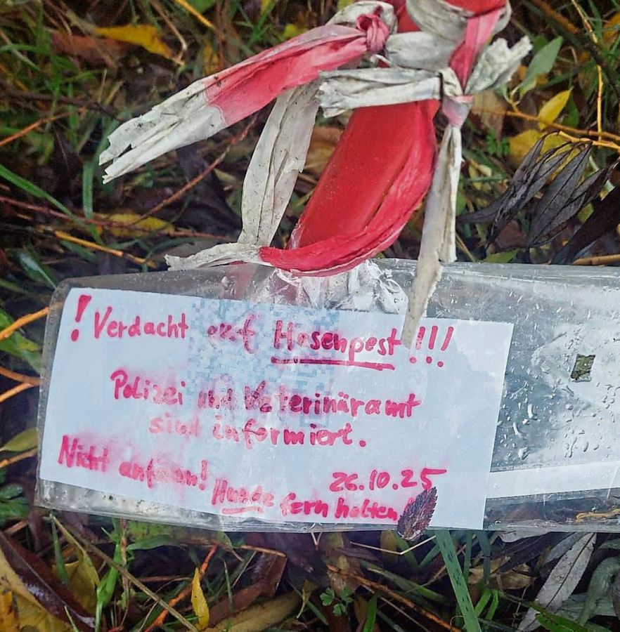 Hier hat ein Spaziergänger den Fund eines toten Feldhasen in Lippstadt direkt markiert – und umgehend das Kreis-Veterinäramt verständigt.