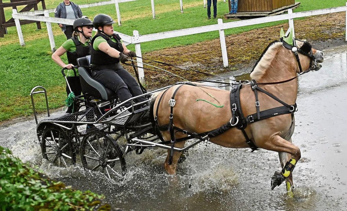 Das berühmte Brrrr scheint hier nicht ganz so viel zu nutzen: Auf jeden Fall waren die Wettbewerbe beim Fahrsportverein Altenbürener Land spektakulär. 70 Gespanne gingen an den Start. Foto: Tuschen