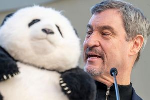 Noch hat Söder (r) nur einen Plüschbären in seinem Büro, doch spätestens 2028 soll es echte Tiere in München geben. - Foto: Peter Kneffel/dpa