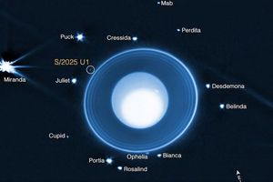 Grafik auf Basis von James-Webb-Daten: Uranus mit seinen Ringen und bekannten Monden. Eingekreist ist der neu entdeckte, nur rund zehn Kilometer große Mond S/2025 U1. - Foto: -/NASA/dpa