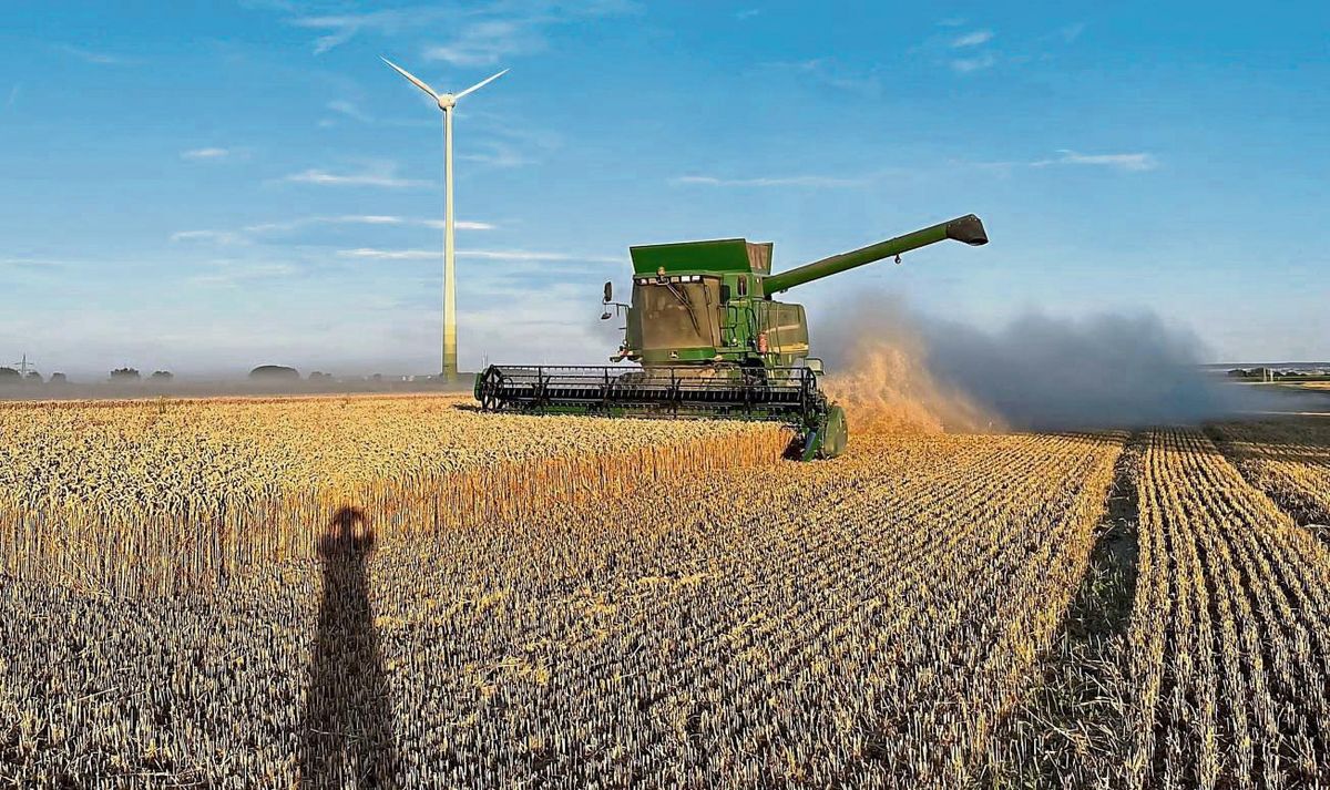 Staub ist nicht gleich Staub: Anders als im Haushalt, wo Staub und Staubfänger ein Ärgernis sein können, ist bei der Ernte ordentlich Staub willkommen. Denn Staubwolken sind ein Indikator, dass das Korn trocken ist, staubtrocken. Foto: Vielberg