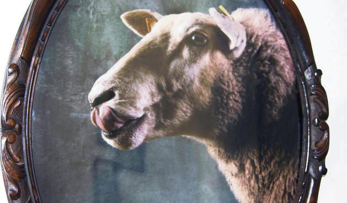 Fotografin Yvonne Notzon lichtet ihre Motive so ab, dass sie an Gemälde erinnern.