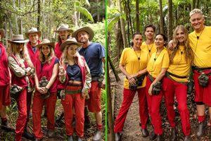 Die Bewohner des Dschungelcamps wohnen seit dem zweiten Tag alle zusammen. - Foto: Patrick Heffels/RTL/dpa
