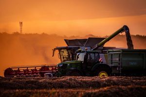 Die Bauern in Deutschland können mit der diesjährigen Getreideernte voraussichtlich zufrieden sein. (Archivbild) - Foto: Jens Büttner/dpa