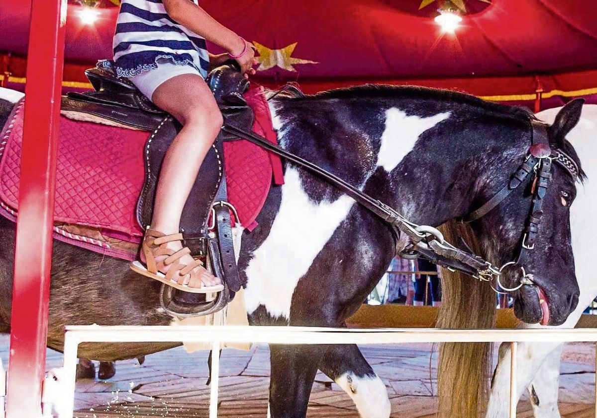 Beliebt und umstritten zugleich: Ponykarussells sind auf vielen Volksfesten noch gesetzt. Archivfoto: Peta