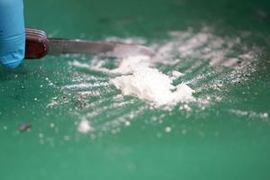 Los Lobos ist eine der mächtigsten Gangs Ecuadors und in den Schmuggel von Kokain in die Vereinigten Staaten und Europa verwickelt. (Archivbild) - Foto: Marcus Brandt/dpa