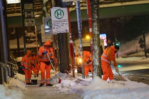 Räumdienste haben derzeit Hochbetrieb. - Foto: Christian Charisius/dpa