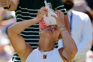 Hitze - Eisbeutel hilft beim WTA - Foto: Kin Cheung/AP/dpa