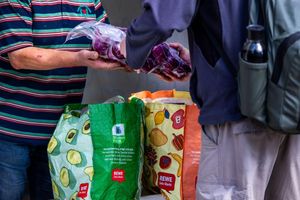 Aktuell suchen nach Angaben der Organisation etwa 1,5 Millionen Menschen regelmäßig die Tafeln auf. (Archivbild) - Foto: Jens Büttner/dpa