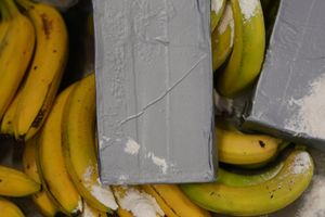 Kokain-Dealer suchen sich nach Angaben von Europol immer neue Schmuggelwege. (Symbolbild) - Foto: Marcus Brandt/dpa