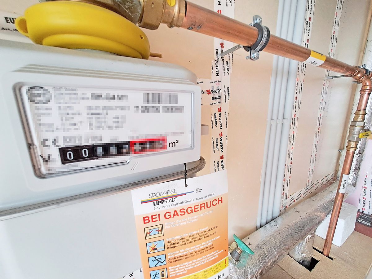 Eine Musterfamilie muss künftig 70 Euro mehr für Strom im Jahr bezahlen und 90 Euro mehr für Gas. Foto: Niggenaber