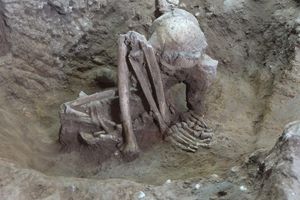 Dieser Fund soll älter als 9.000 Jahre sein. - Foto: Yousuke Kaifu;Hirofumi Matsumura/dpa