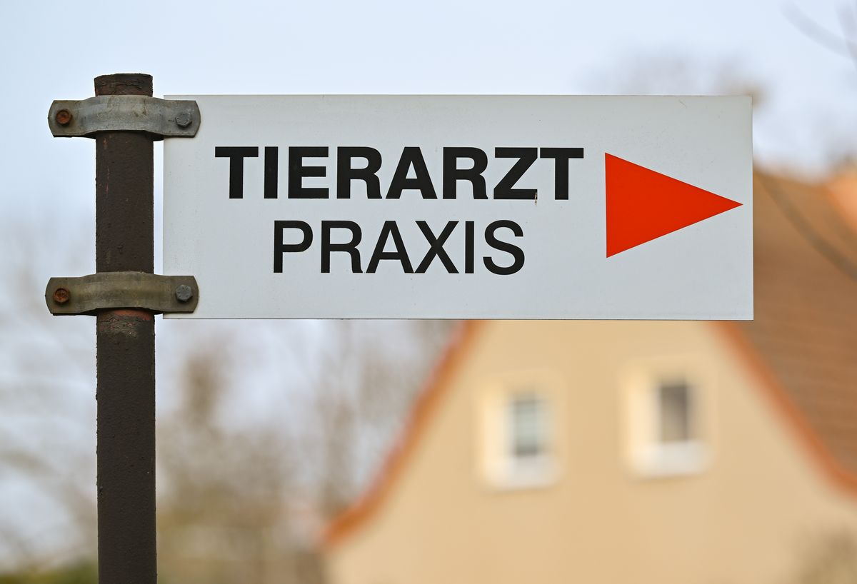 Eine Anröchterin hat eine Mitarbeiterin einer Tierarztpraxis mit einem Schild beworfen. Symbolfoto: DPA