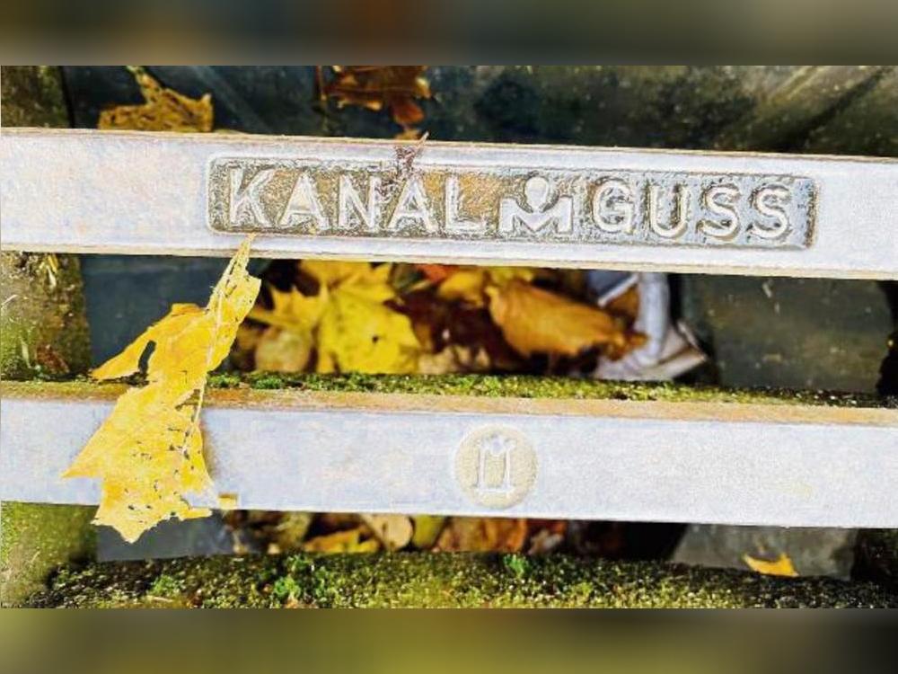 Die Blätter fallen – und zwar auch in die Gullys der Stadt. Darin sieht Susanne Schulte-Döinghaus (CDU) eine Hochwassergefahr. Foto: Dietz