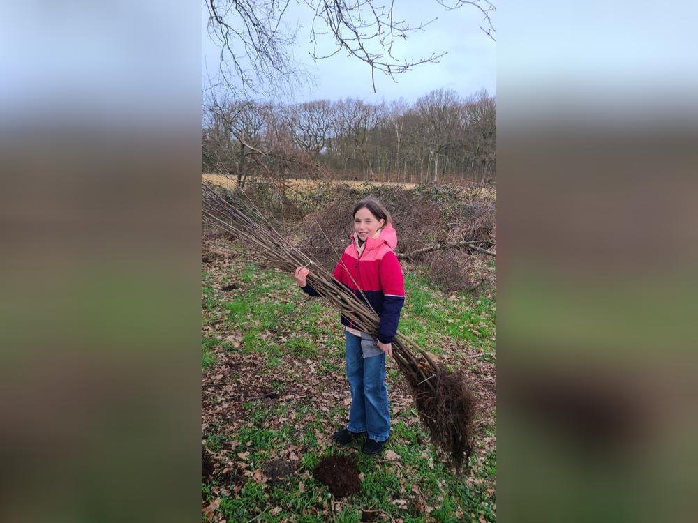 Marie Wollesen half bei der Pflanzaktion kräftig mit. Foto: Wollesen