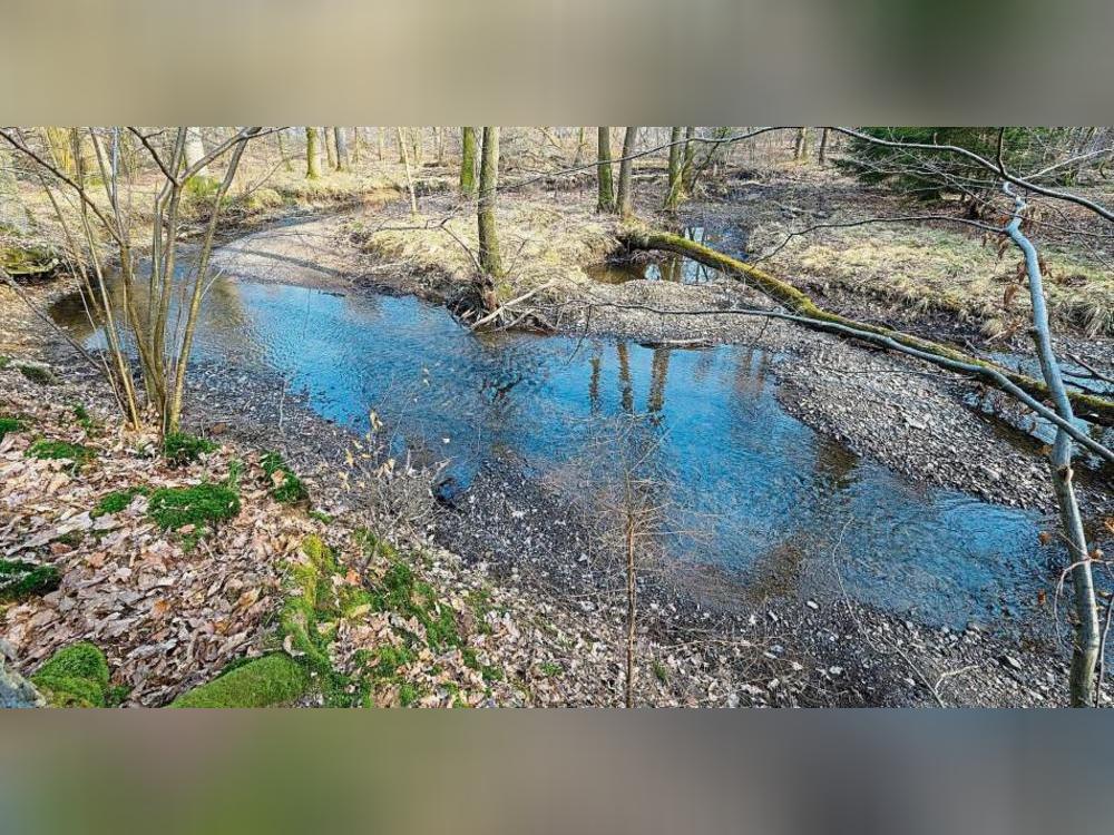 Bei den Naturschutzvorhaben des Kreises unter dem Dach „Naturpark Plus“ könnte auch an die durchgeführten Projekte wie „Bachtäler im Arnsberger Wald“ mit der Renaturierung der Großen Schmalenau angeknüpft werden. Foto: Peter Dahm