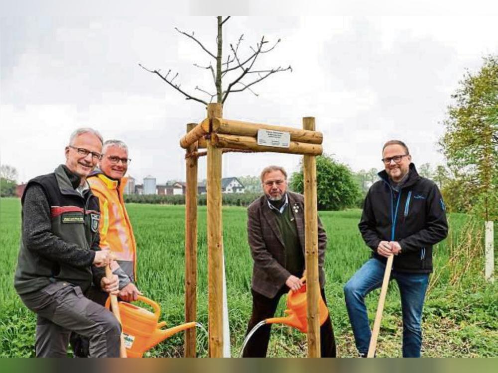 Forstamtsleiter Edgar Rüther, Mario Lammers vom Bauhof Anröchte, Franz-Ferdinand Gröblinghoff von der Schutzgemeinschaft Deutscher Wald und Bürgermeister Alfred Schmidt (v.l.) pflanzten den Baum.
