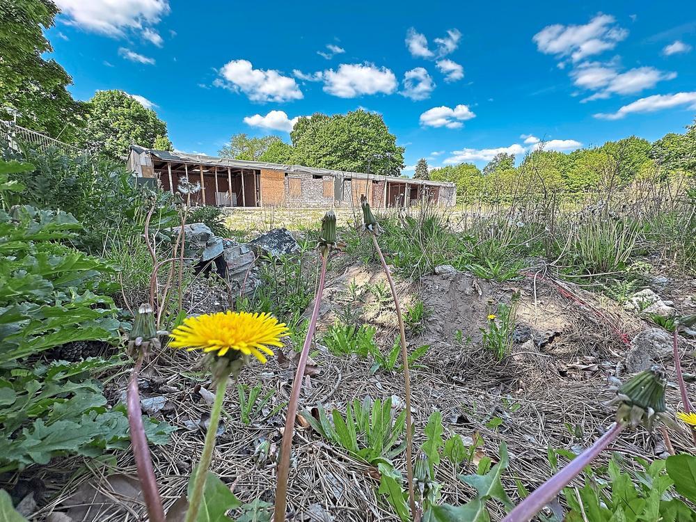 Der Neubau der Turnhalle in Lipperode wird teurer als gedacht. Foto: Cegelski
