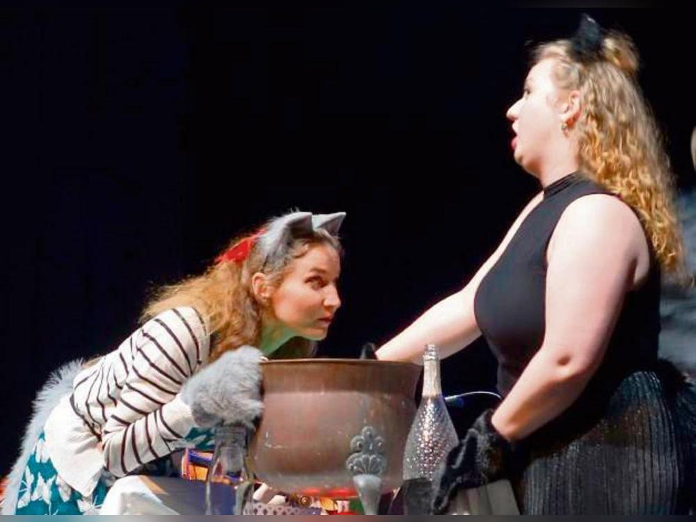 Dumm gelaufen: Aus Versehen hat die Hexe Sandrina und sich selbst in Katzen verwandelt. Foto: Boronowsky