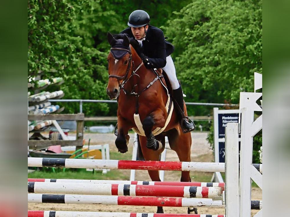 Alexander Scheithauer vom gastgebenden Reiterverein Rüthen gewann mit „Mc Fly“ ein L-Springen. Das Duo meisterte den Parcours in 47,22 Sekunden. Foto: Feichtinger