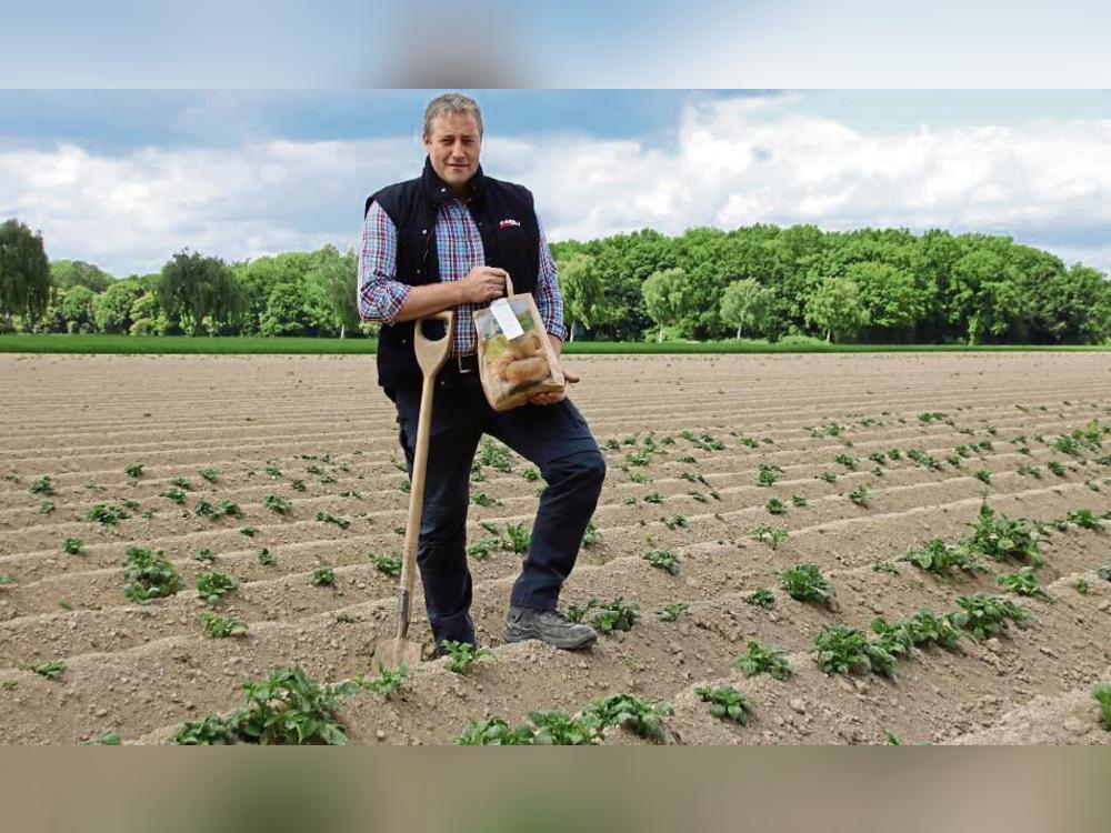 Im Wachstum befinden sich die Pflanzen auf Dominik Schröders Kartoffelfeld. Foto: Meschede
