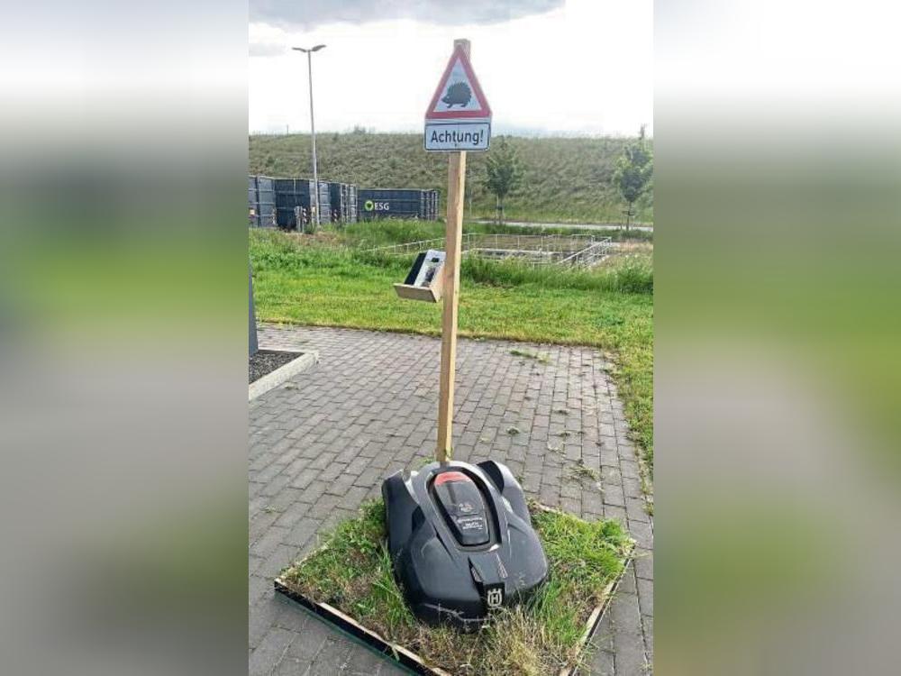 Die Kreisverwaltung fährt bereits eine Kampagne zum Schutz der Igel. Foto: Rückert
