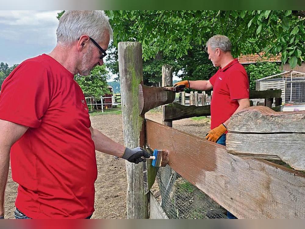 Mit vereinten Kräften: Ehrenamtliche des Fördervereins „Live to Love Germany“ haben jetzt auf dem Gnadenhof Solluna in Mastholte mit angepackt.