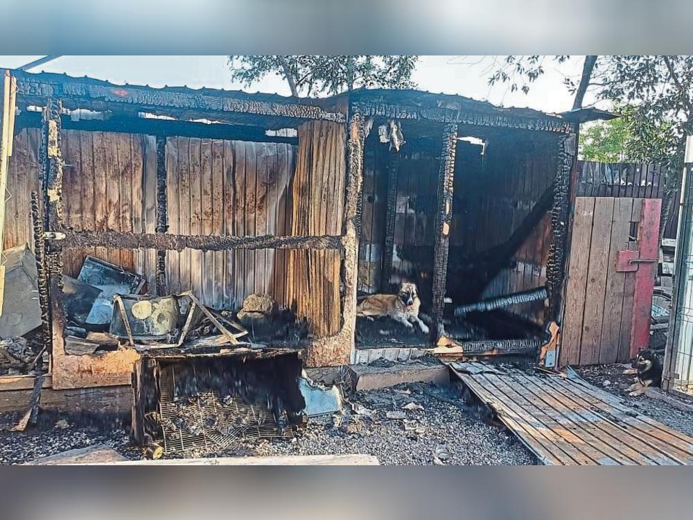 Der Schuppen des Tierschutzvereins Amaru in Rumänien ist komplett ausgebrannt. Tiere wurden glücklicherweise nicht verletzt, aber das dringend benötigte Werkzeug ist zerstört.