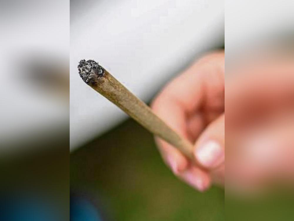 Der Joint wurde ihn zum Verhängnis: Für das Betreiben einer Cannabis-Plantage in Schmerlecke muss ein 31-Jähriger hinter Gitter.