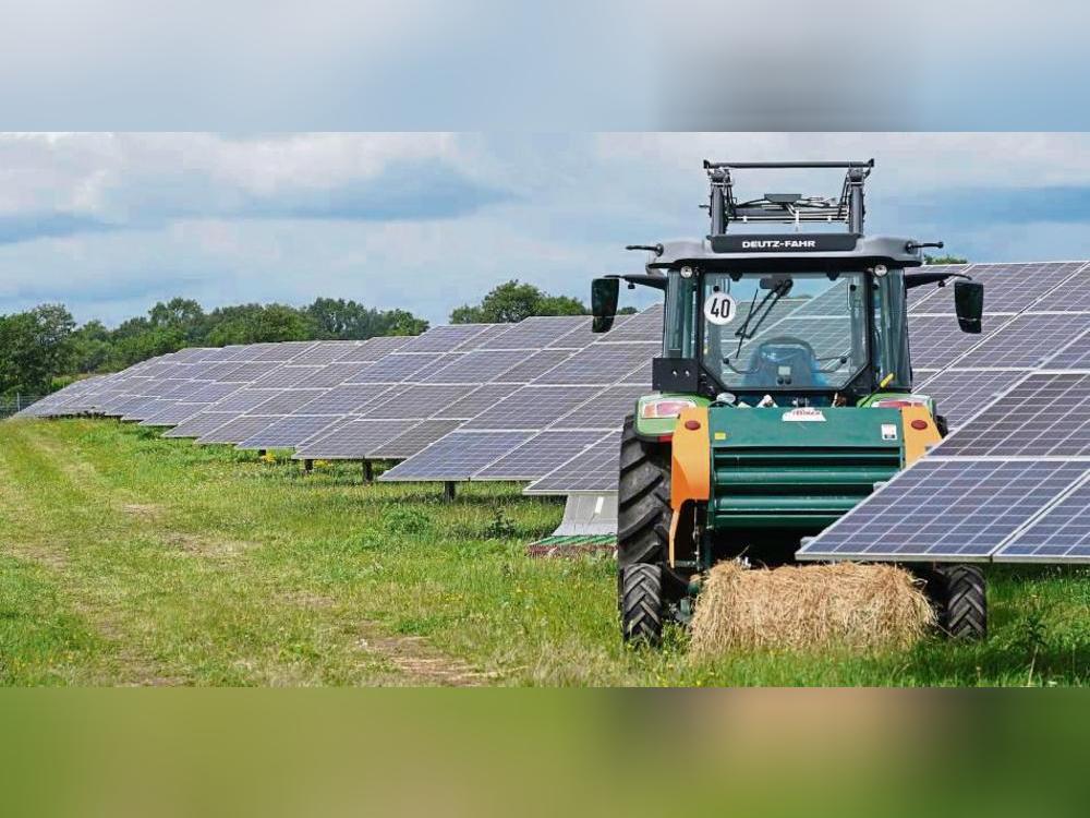 Zwischen Hoinkhausen und Weickede: Auf einer landwirtschaftlichen Fläche sollte eine Agri-Photovoltaikanlage entstehen – doch der Antrag wurde zurückgezogen. Symbolfoto: dpa