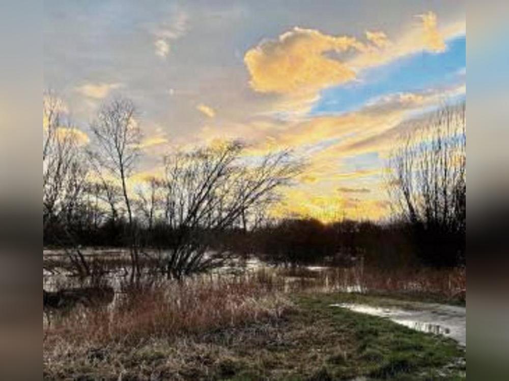 Das Naturschutzgebiet Olle Wiese in Stirpe. Foto: Dietz