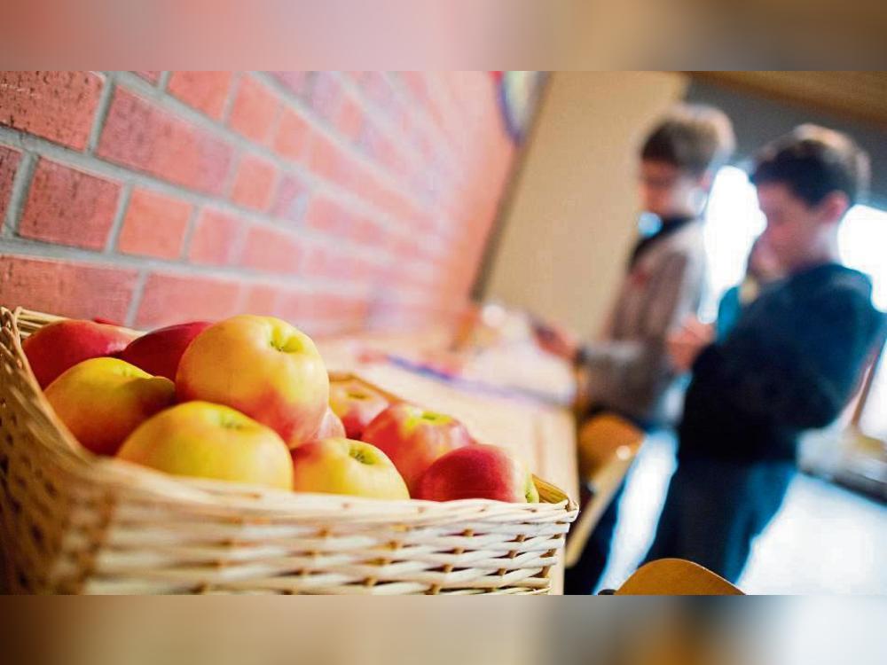 Obst trägt einen entscheidenden Anteil an gesunder Ernährung. Auch deshalb sollen Geseker Schüler in Zukunft kostenlosen Zugang zu Äpfel, Bananen und Co. bekommen. Foto: dpa