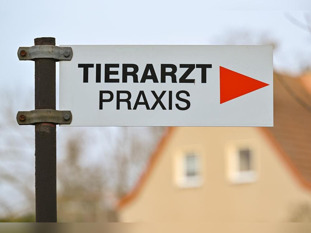 Eine Anröchterin hat eine Mitarbeiterin einer Tierarztpraxis mit einem Schild beworfen. Symbolfoto: DPA