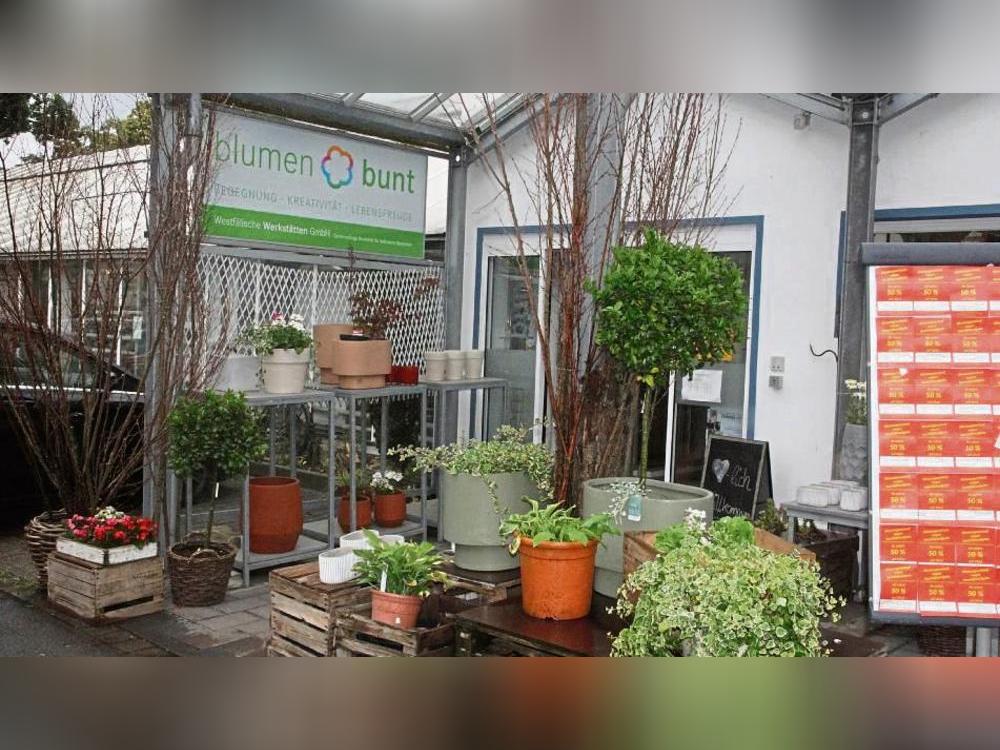 Ein Bild aus der Schlussphase von Blumen bunt: Die Türen öffnen heute ein letztes Mal. Schon am 5. August startet jedoch ein neues Geschäft – ebenfalls mit Blumen. Foto: Schwade